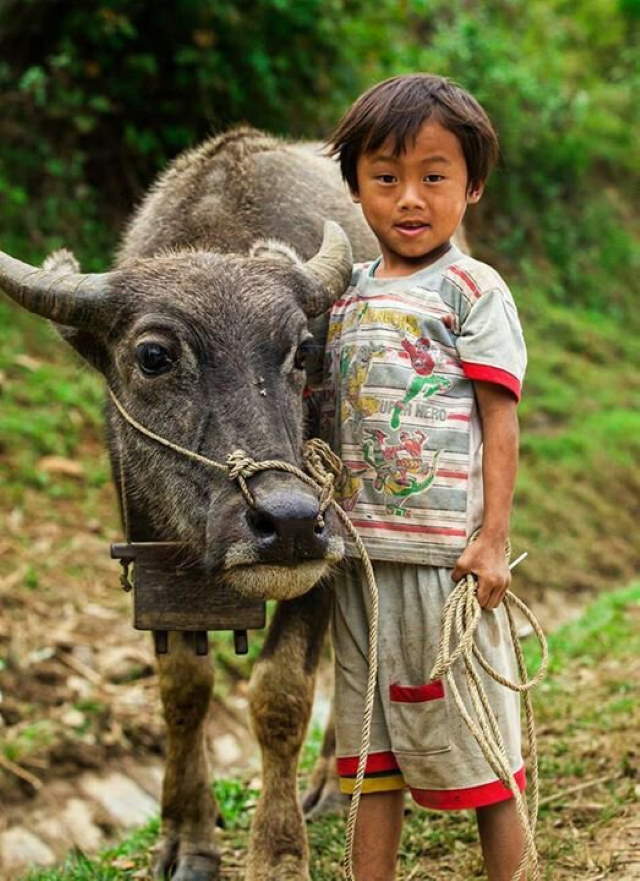Shangrala's Kids With Animals 4