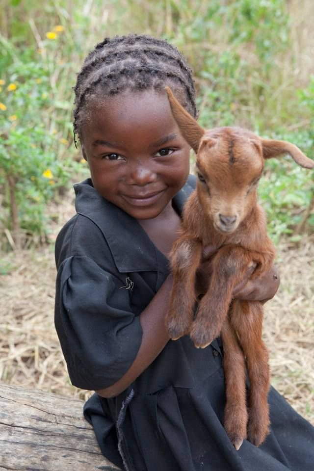 Shangrala's Kids With Animals 4