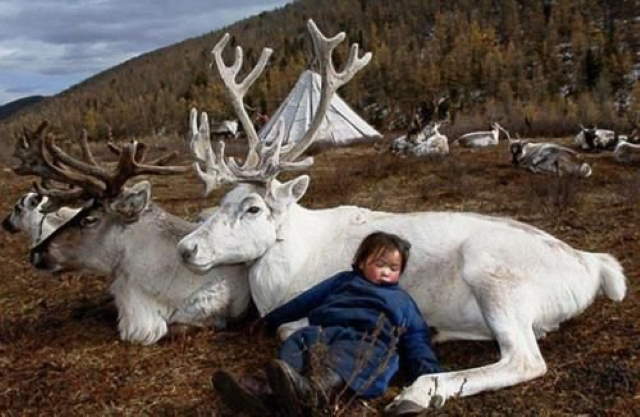 Shangrala's Kids With Animals 4