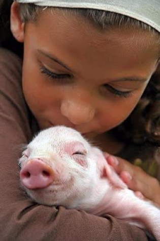 Shangrala's Kids With Animals 4