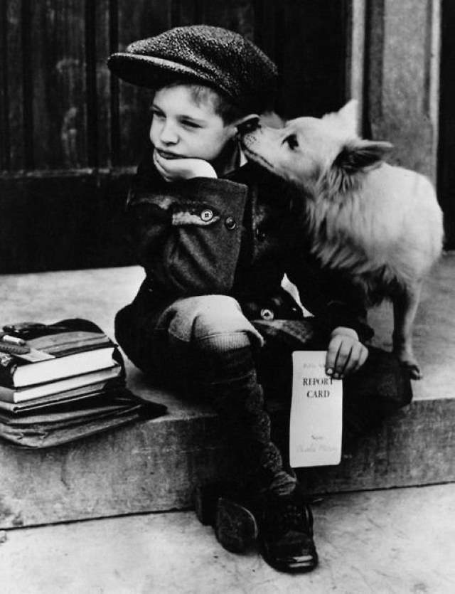 Shangrala's Kids With Animals 4
