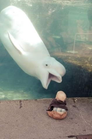 Shangrala's Kids With Animals 4