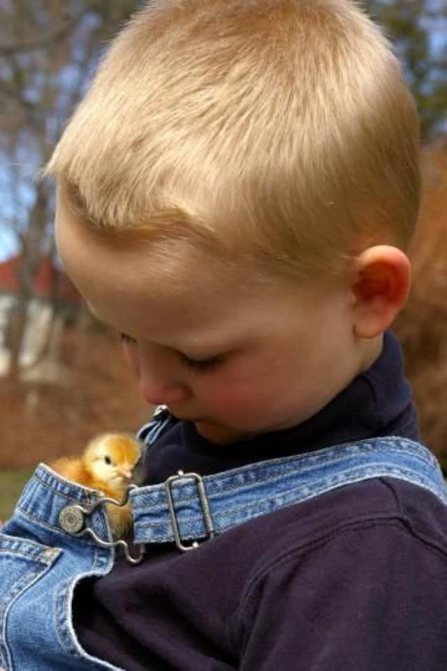 Shangrala's Kids With Animals 5
