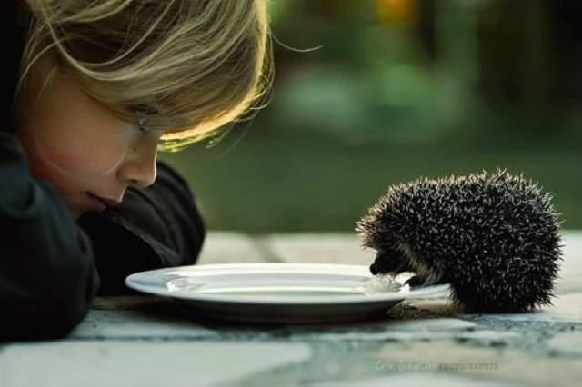 Shangrala's Kids With Animals 5