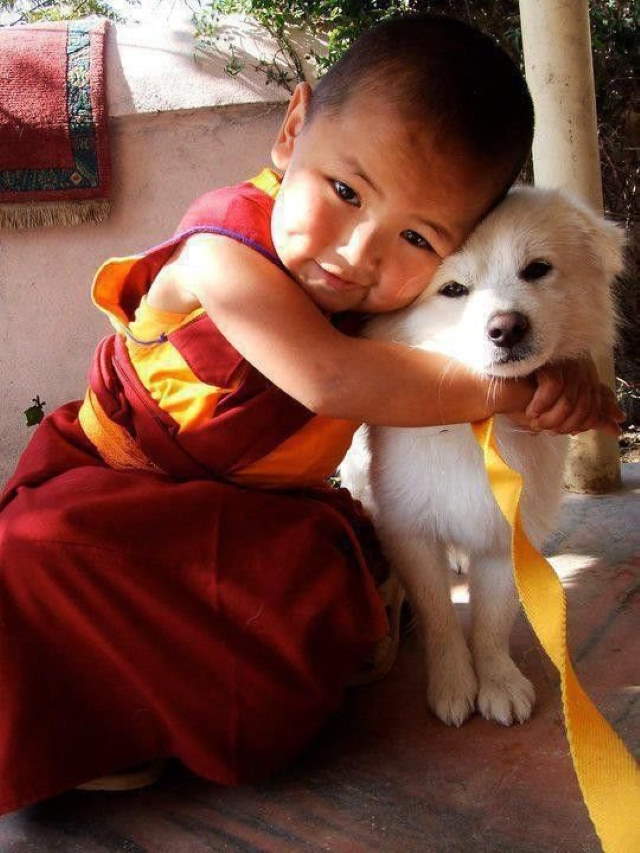 Shangrala's Kids With Animals 5