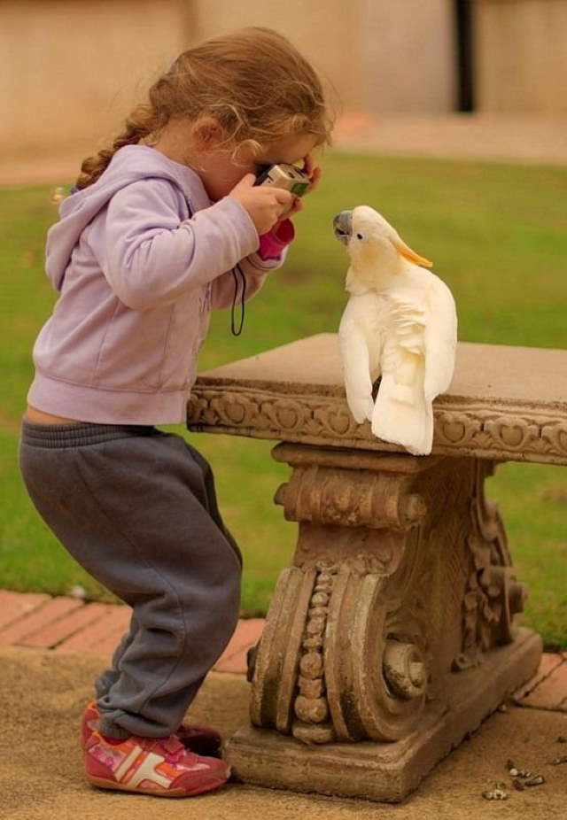 Shangrala's Kids With Animals 5