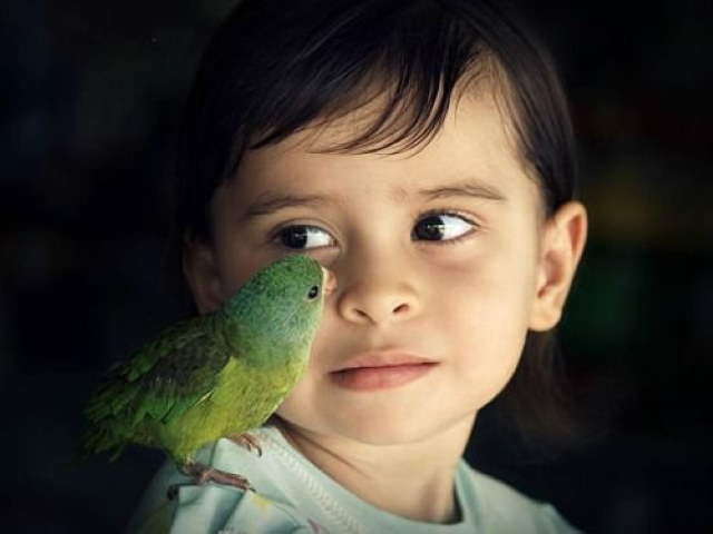 Shangrala's Kids With Animals 5