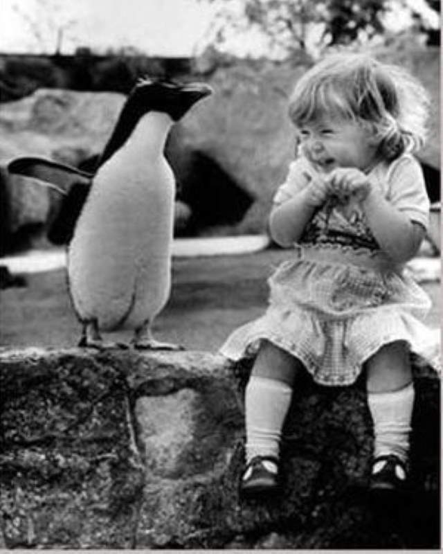 Shangrala's Kids With Animals 5