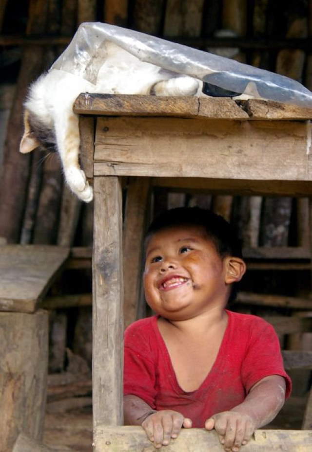 Shangrala's Kids With Animals 5