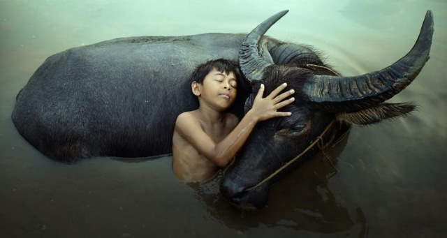 Shangrala's Kids With Animals 5