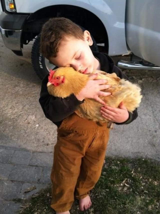 Shangrala's Kids With Animals 5