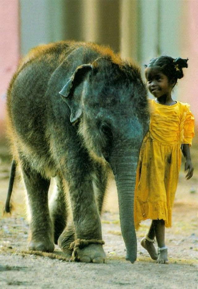 Shangrala's Kids With Animals 4