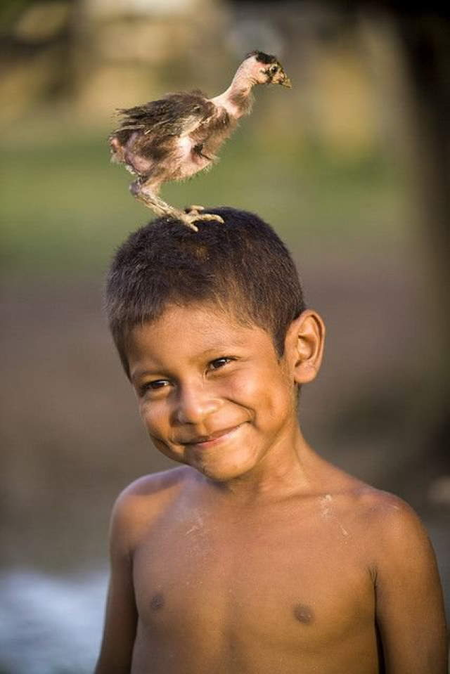 Shangrala's Kids With Animals 5