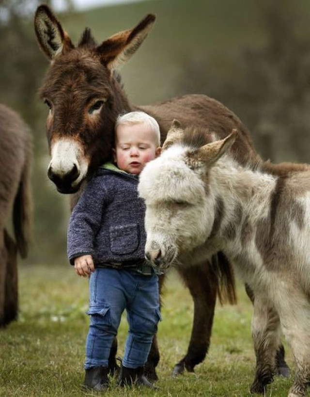 Shangrala's Kids With Animals 5