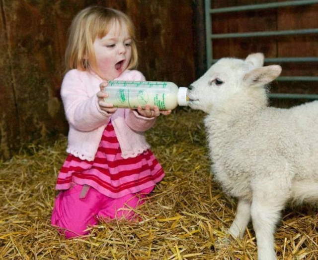 Shangrala's Kids With Animals 5
