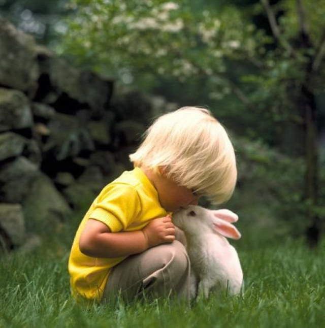 Shangrala's Kids With Animals 5
