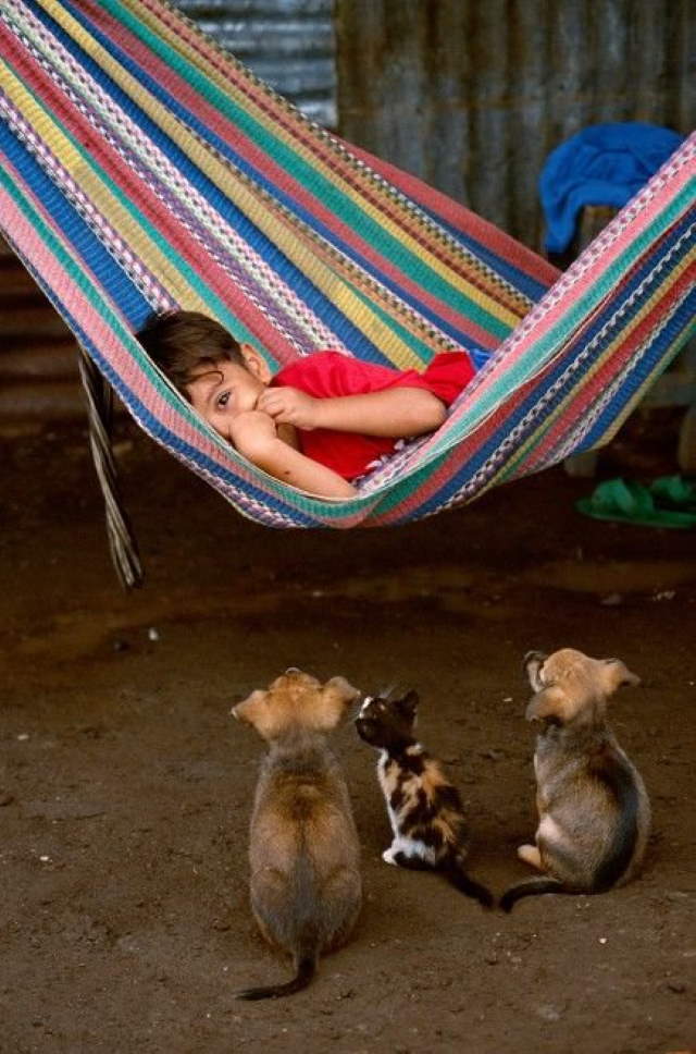 Shangrala's Kids With Animals 4