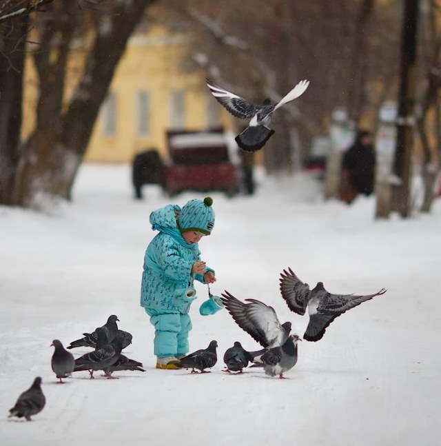 Shangrala's Kids With Animals 4