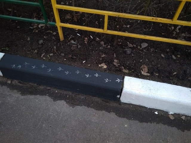 Shangrala's Birds Being Bad