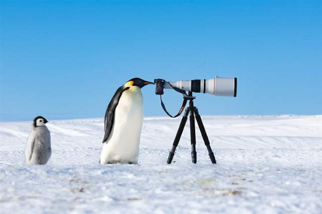 Shangrala's Bird Photography Winners