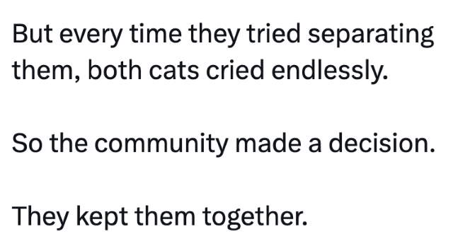 Shangrala's Story Of Capitan