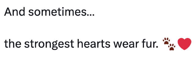 Shangrala's Story Of Capitan