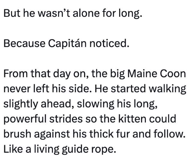 Shangrala's Story Of Capitan