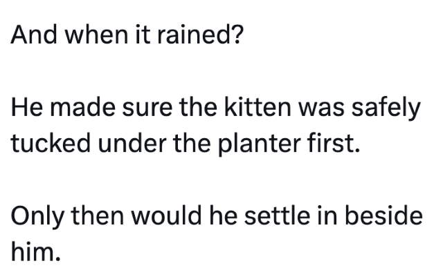 Shangrala's Story Of Capitan