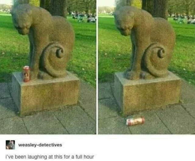 Purrfect Cat Moments