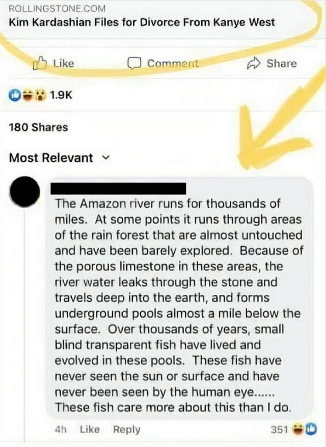 Shangrala's Witty Comebacks