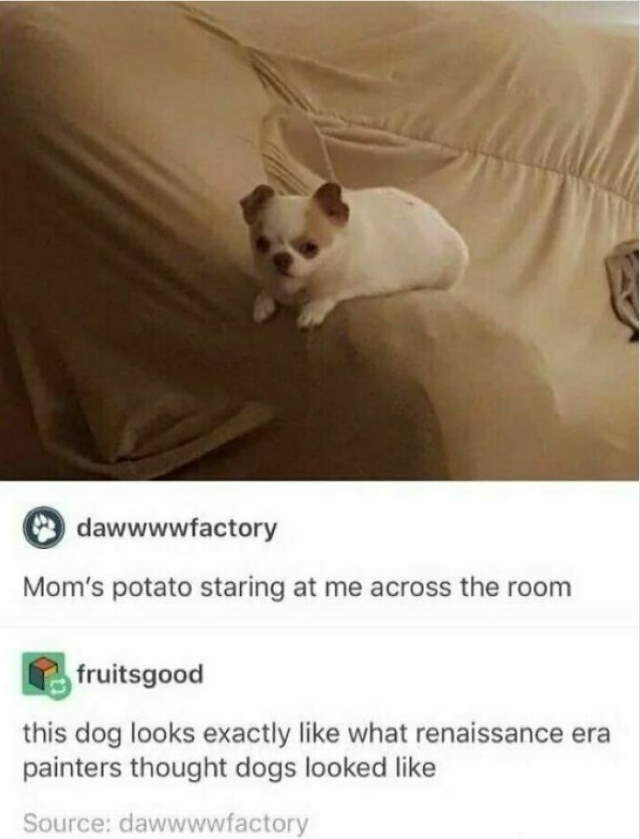 Shangrala's Witty Comebacks