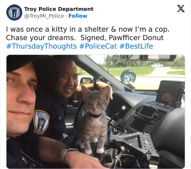 Shangrala's Cop Talk Memes