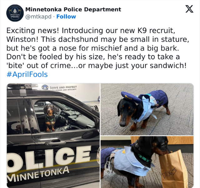 Shangrala's Cop Talk Memes