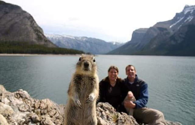 Shangrala's World's Famous Animals