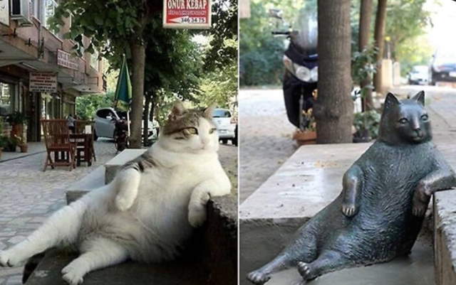 Shangrala's World's Famous Animals