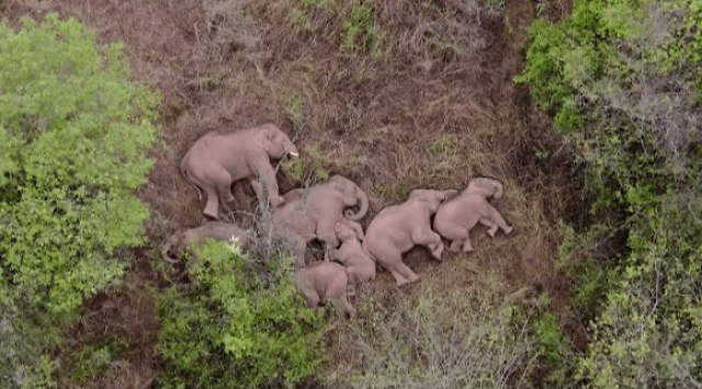 Shangrala's World's Famous Animals