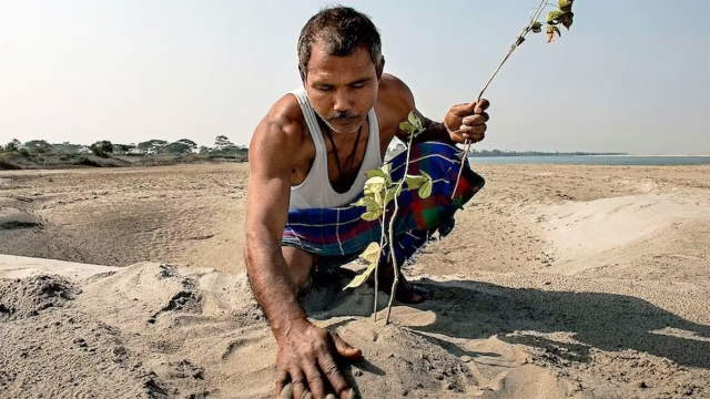 Shangrala's The Forest Man