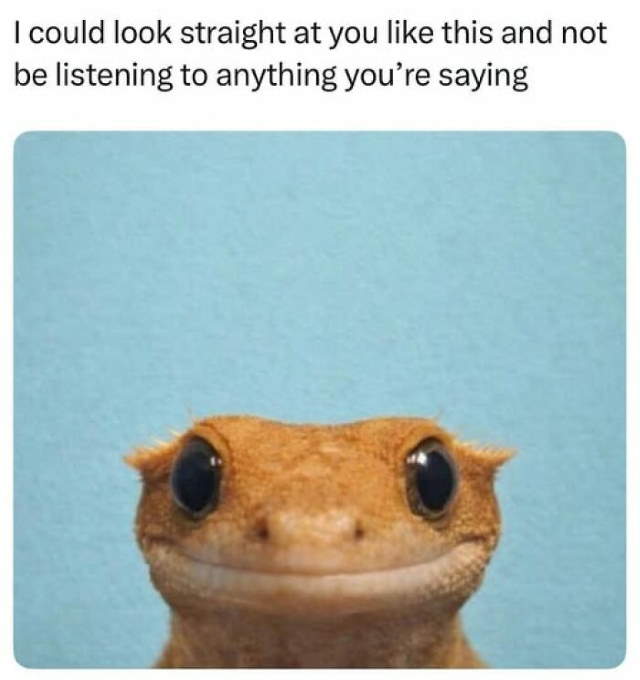 Shangrala's Funny Lighthearted Memes