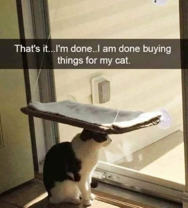 Shangrala's Funny Lighthearted Memes