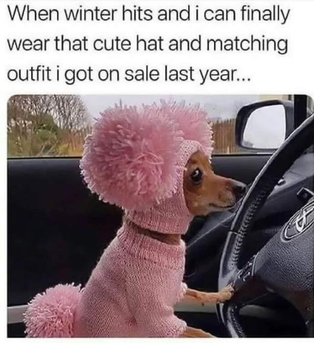 Shangrala's Funny Lighthearted Memes