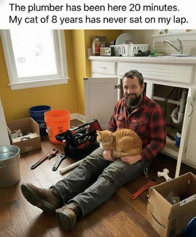 Shangrala's Funny Lighthearted Memes