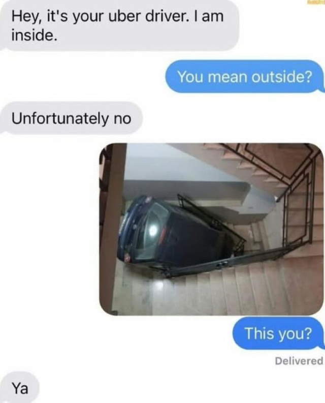 Shangrala's Funny Lighthearted Memes