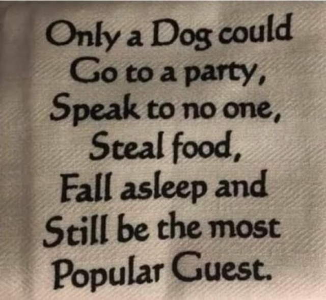 Shangrala's Funny Lighthearted Memes