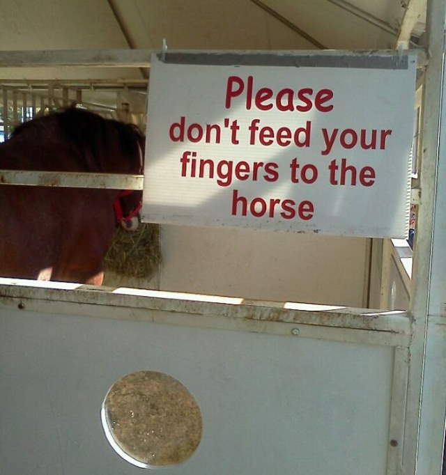 Shangrala's No Words Necessary 2