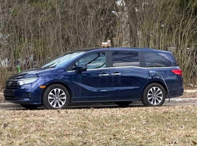 Shangrala's No Words Necessary 2