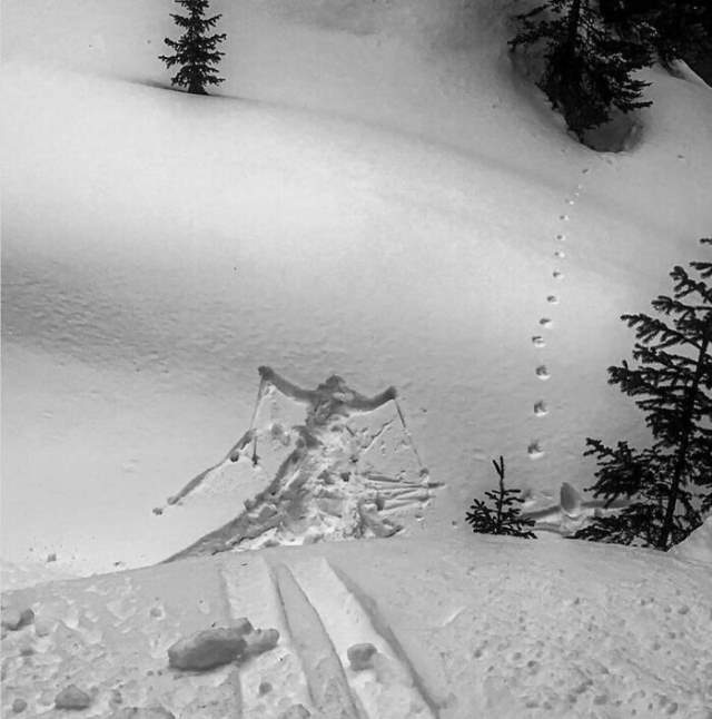 Shangrala's No Words Necessary 2