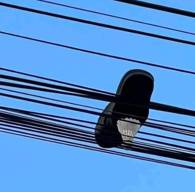 Shangrala's No Words Necessary 2