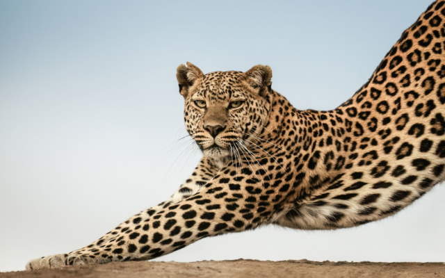 Shangrala's Mara Photo Winners