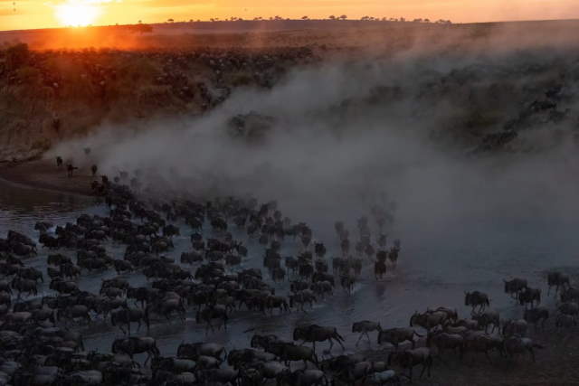 Shangrala's Mara Photo Winners