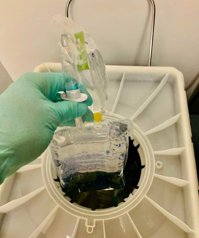 Shangrala's Expensive Mistakes